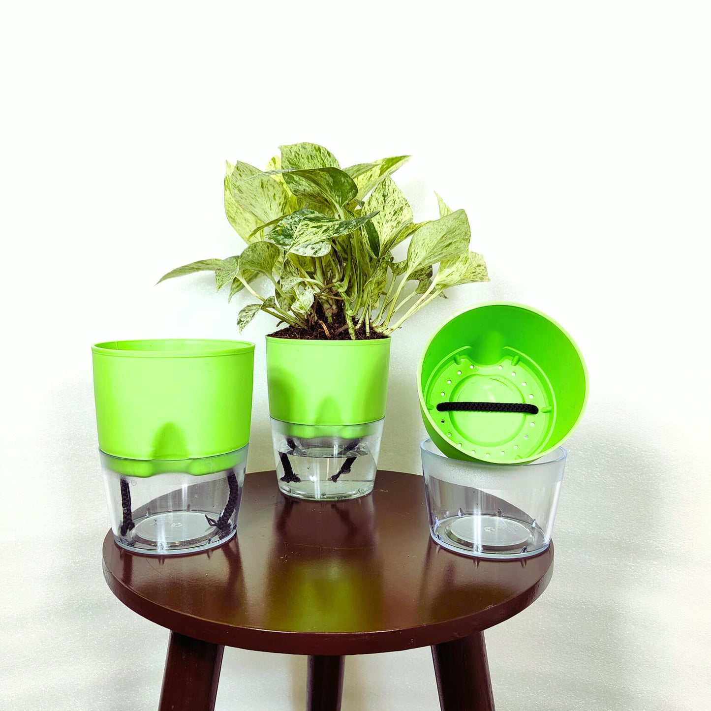 Buy LOBELLO Premium Quality self watering Green pot Online at Lalitenterprise