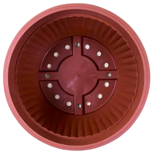 Buy Round Shape Bonsai Plastic Pot Online at Lalitenterprise
