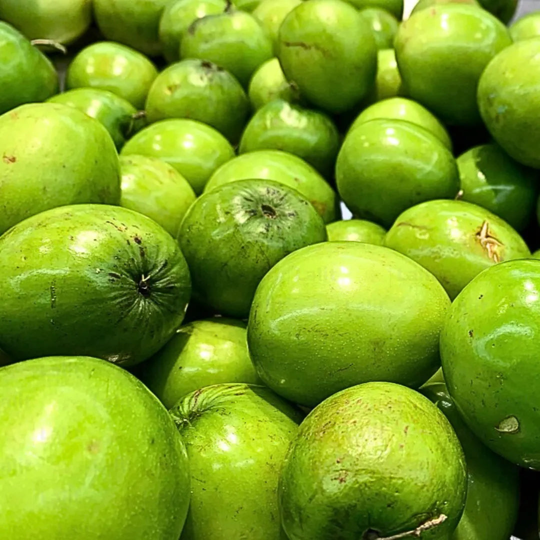 Buy Indian Jujube - Plant Online a Lalitenterprise