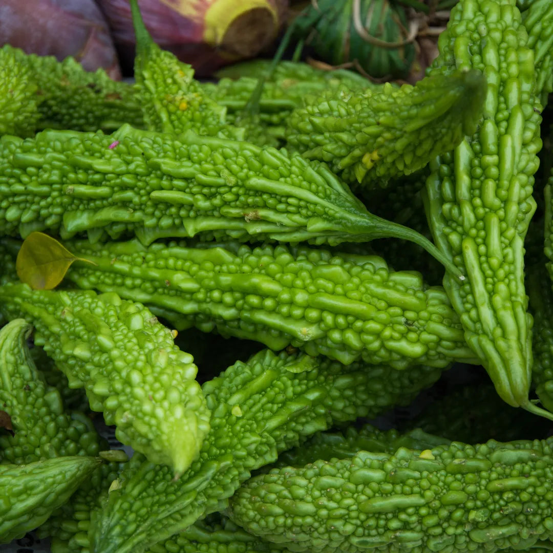 Buy Creeper Vegetable Seeds Combo Online at Lalitenterprise