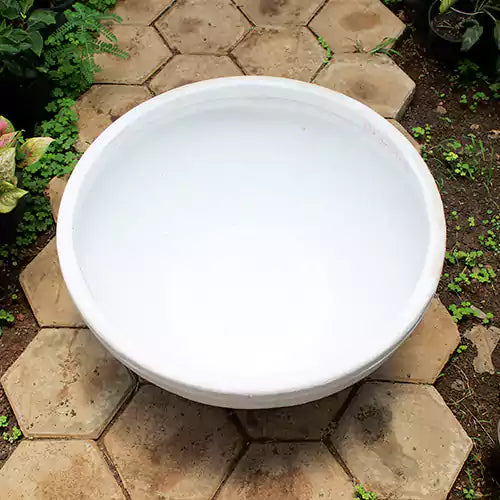Buy Decora Pots (Premium quality) “Bloom” , “Code – TCB Online at Lalitenterprise