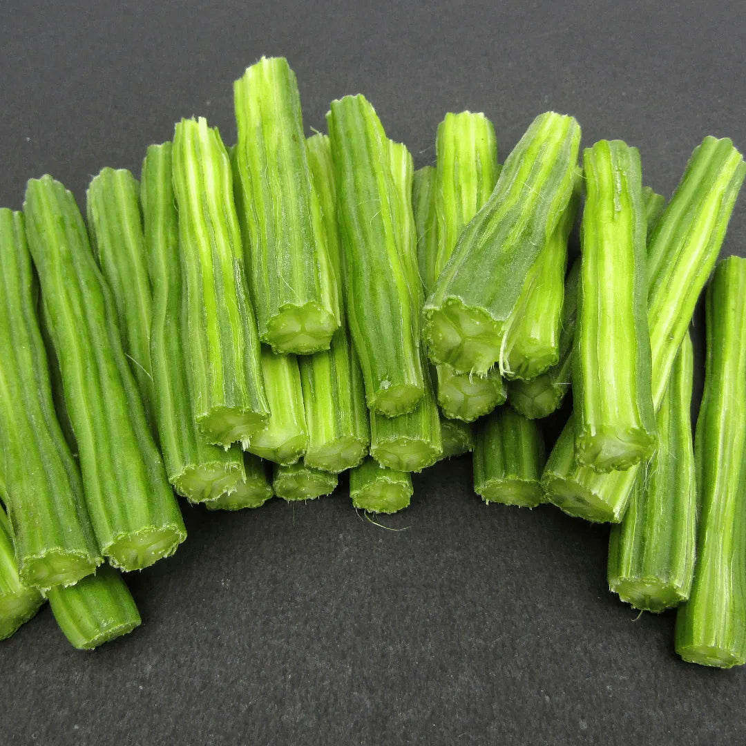 Buy Drumstick (Moringa Oleifera), Sehjan Plant online at Lalitenterprise
