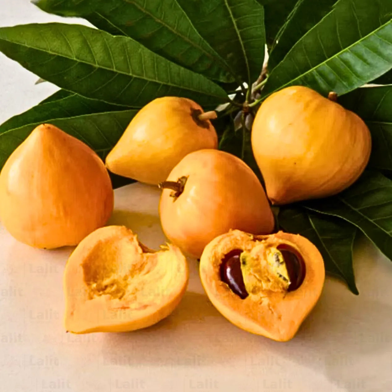 Buy Egg Fruit - Plant Online at Lalitenterprise