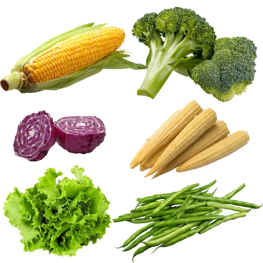 Buy Exotic Vegetable Seeds Combo Online at Lalitenterprise