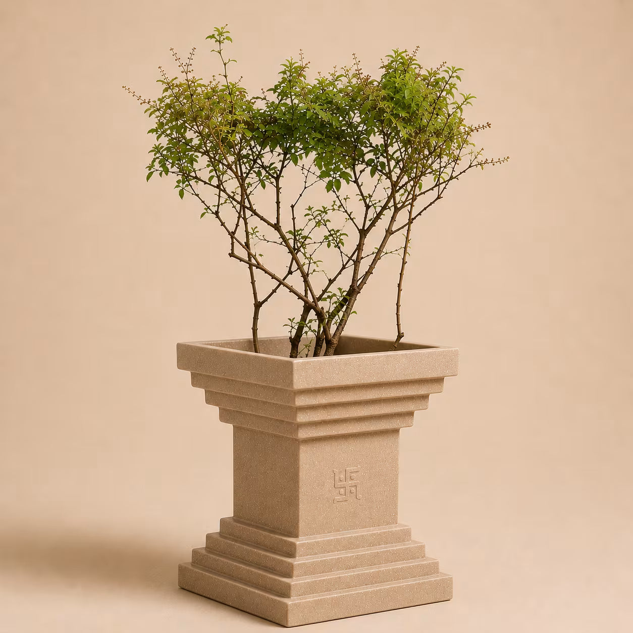 Buy Garden Green Tulsi Rotomold Stone Finish Planter Online at Lalitenterprise