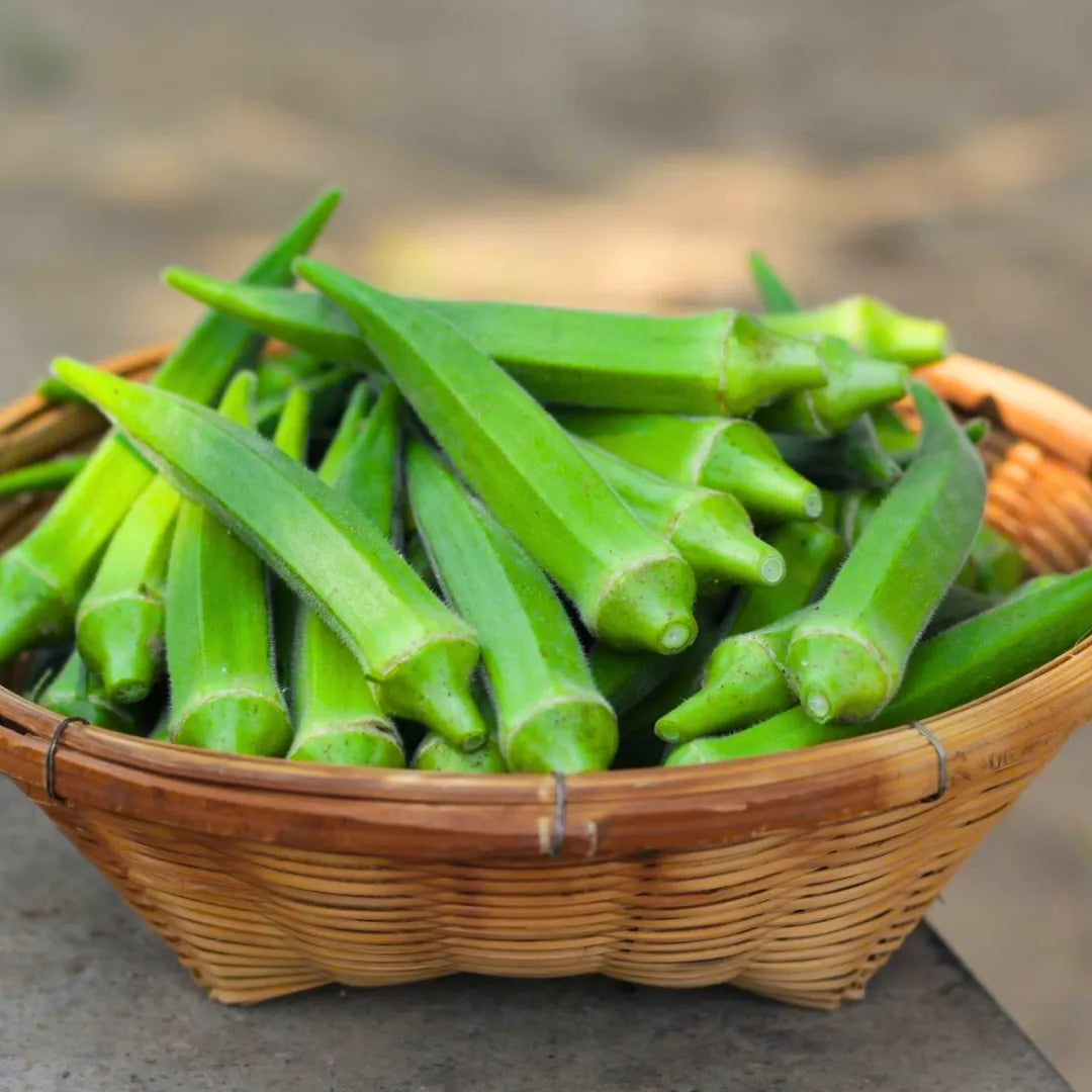 Buy Indian Vegetable Lady Finger seed Online at Lalitenterprise