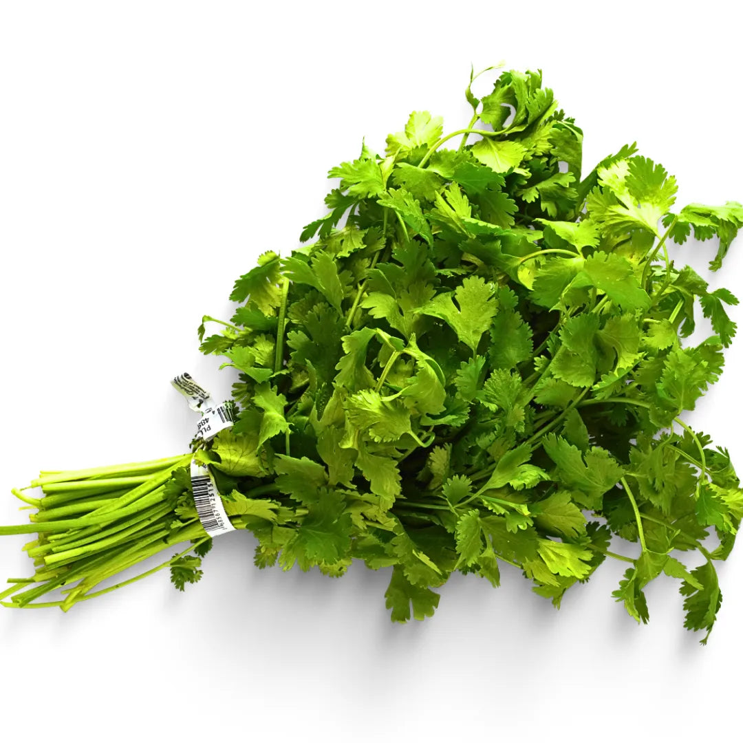 Buy Indian Vegetable Coriandor seed Online at Lalitenterprise