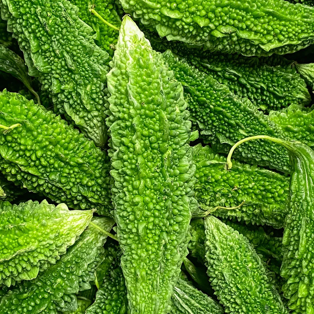 Buy Organic Vegetable Bitter Gourd seed Online at Lalitenterprise