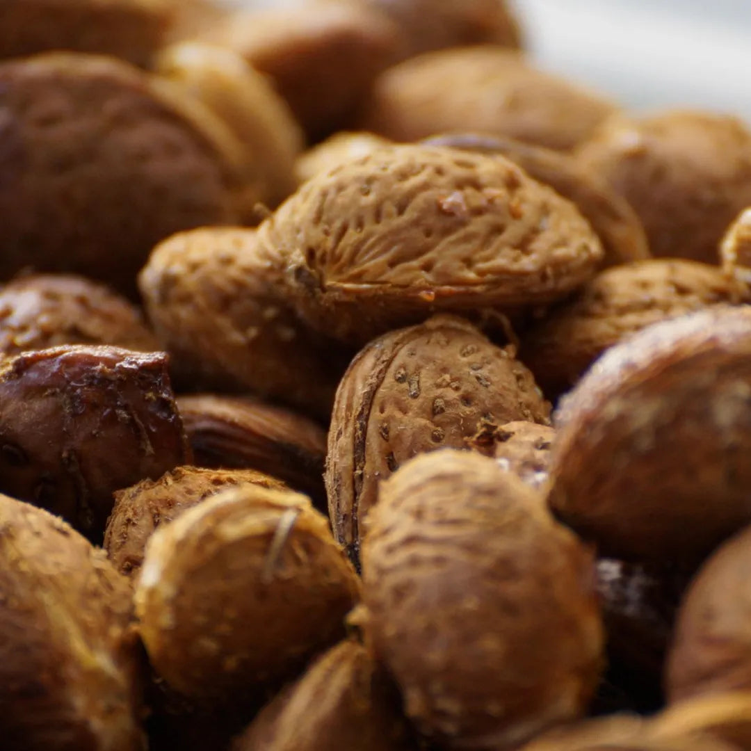 Buy Kashmiri Badam - Plant Online at Lalitenterprise