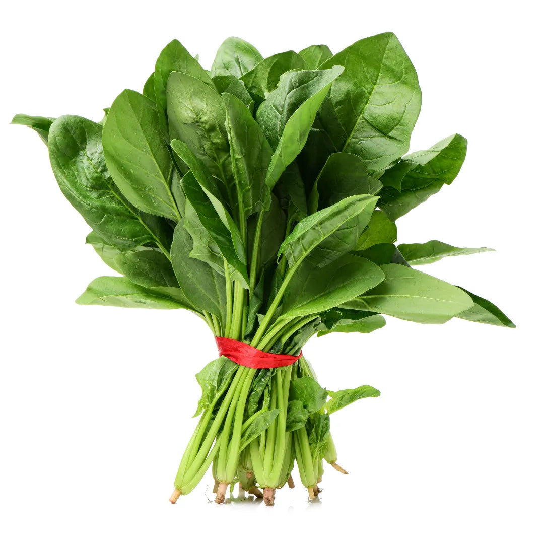 Buy Spinach Vegetable Seeds for Terrace Gardening Online at Lalitenterprise