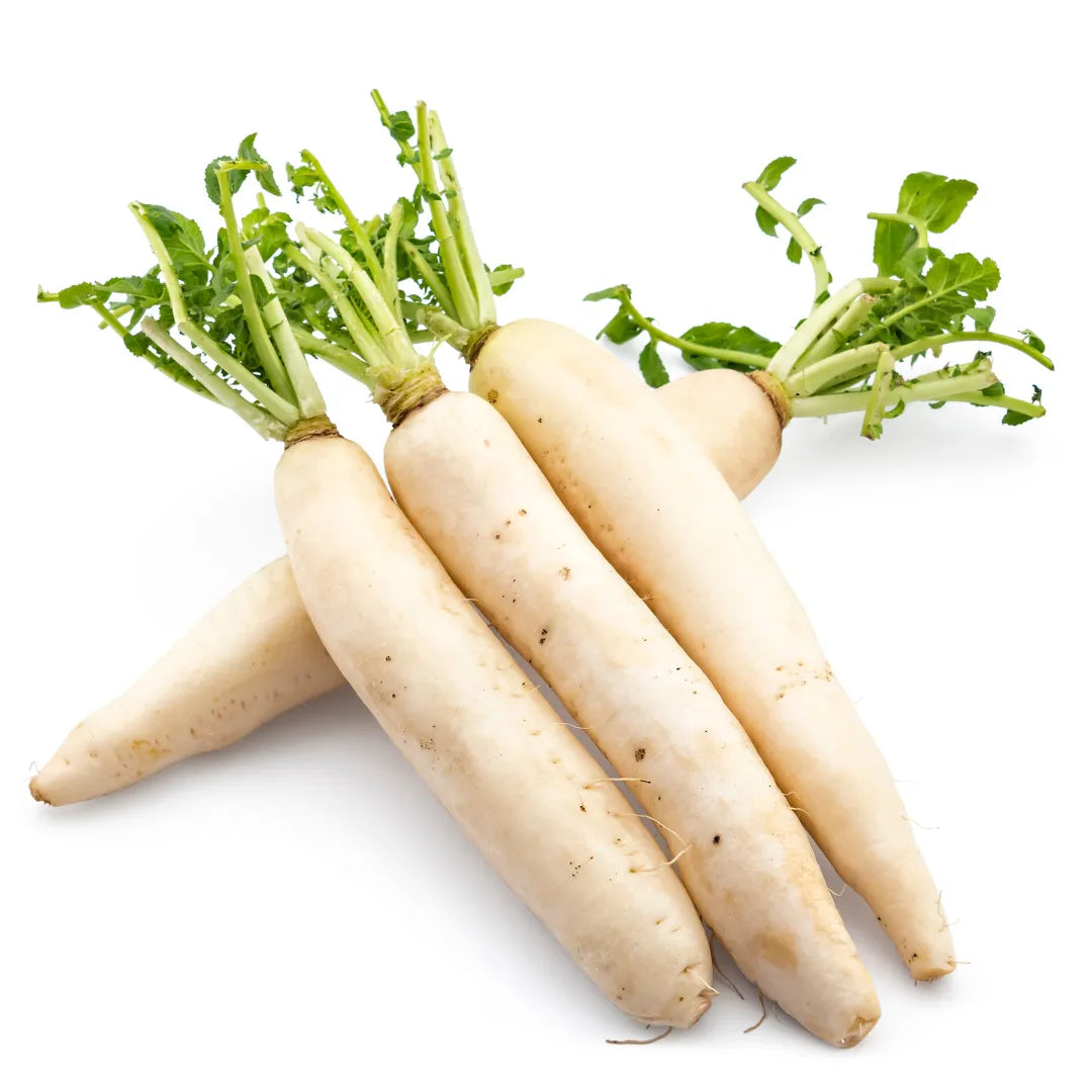 Buy Muli Vegetable Seeds for Terrace Gardening Online at Lalitenterprise