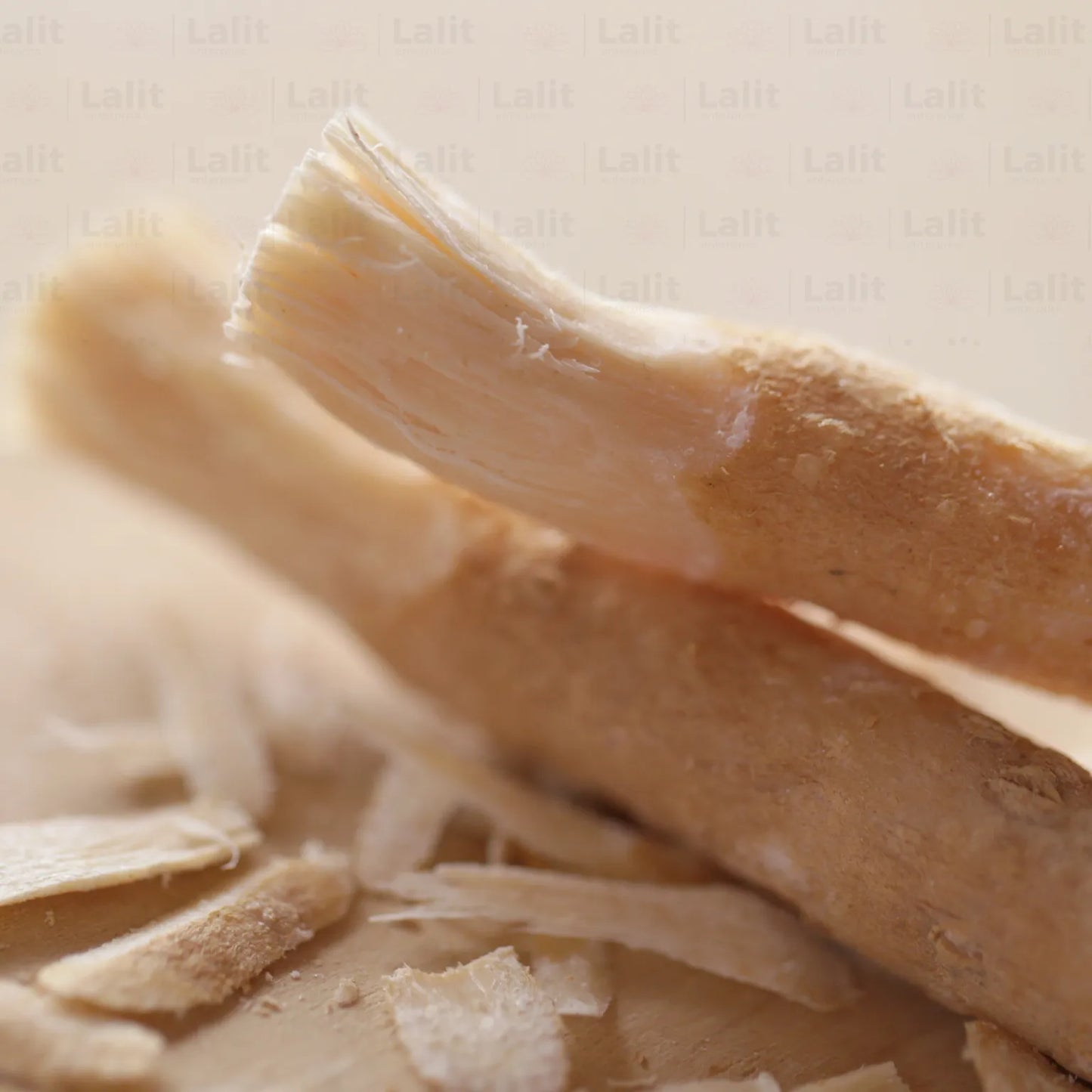 Buy Miswak Tree - Plant Online at Lalitenterprise