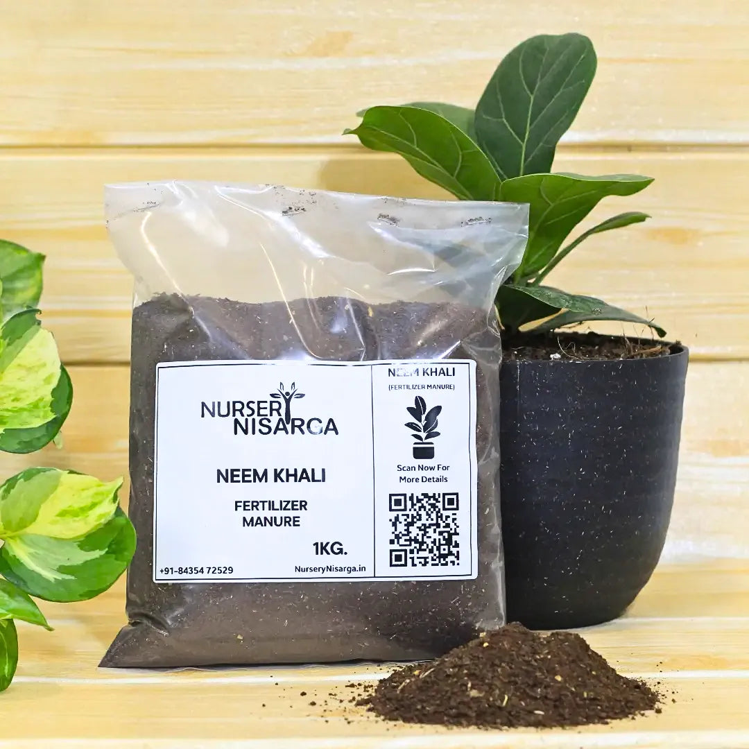 neem fertilizer for plants Neem Khali