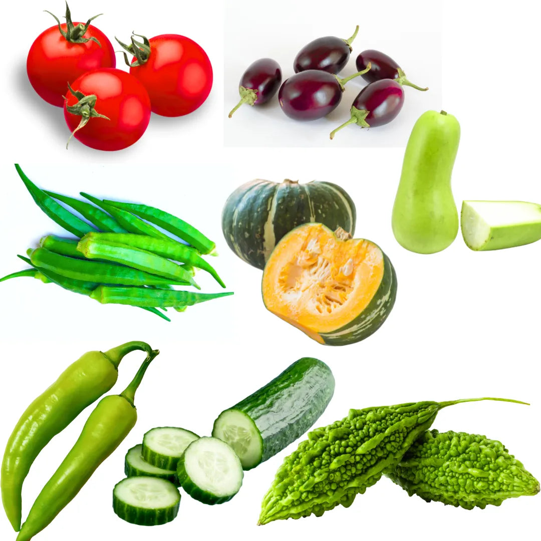 Buy Organic Vegetable Seeds for kichen Garden Online at Lalitenterprise