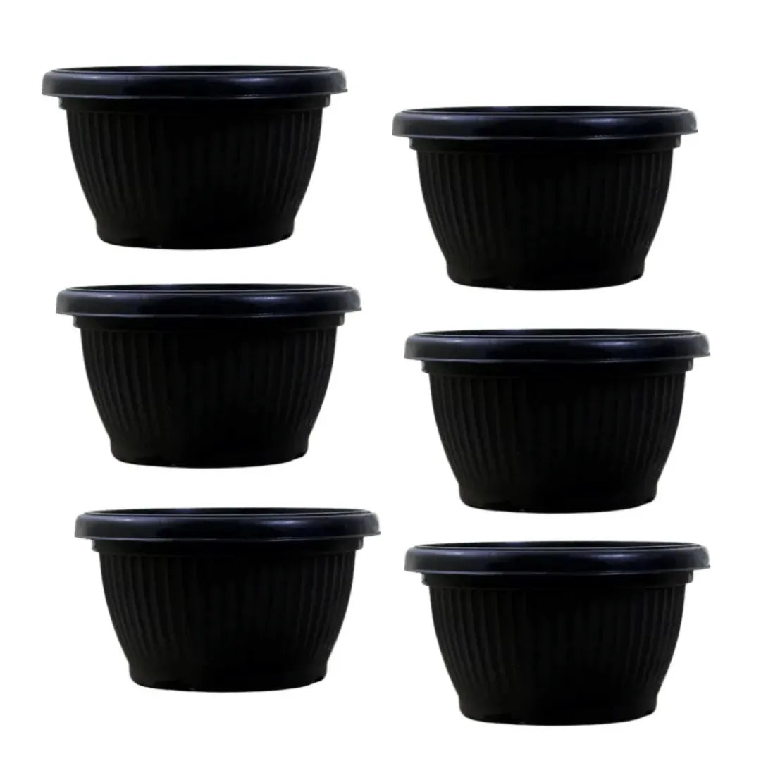 Buy Round Shape Bonsai Plastic Pot Online at Lalitenterprise