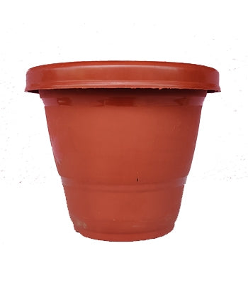 Shera Terracotta color (Premium Quality) Plastic Pot