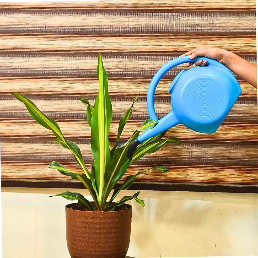 Harshdeep Premium Water Can for Plants - 5 Litre