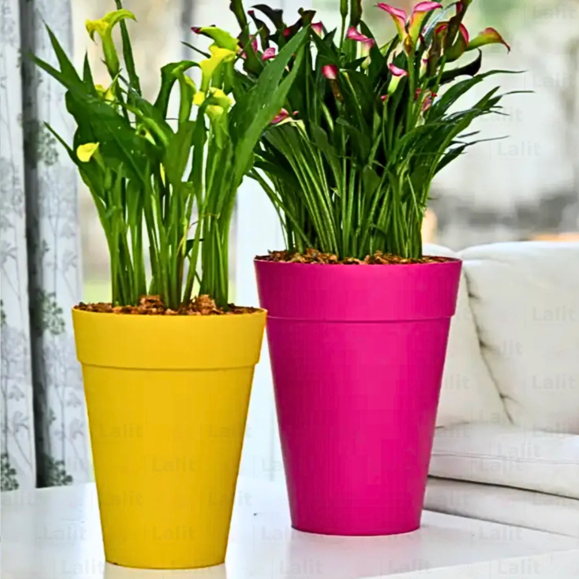 Buy Harshdeep Premium Rome - Planter Online at Lalitenterprise