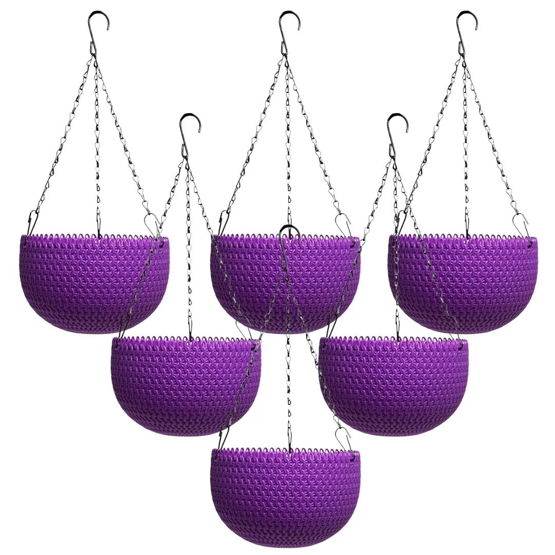 Buy Harshdeep Capri Hanging Purple - Planter (Set of 6) Online at Lalitenterprise