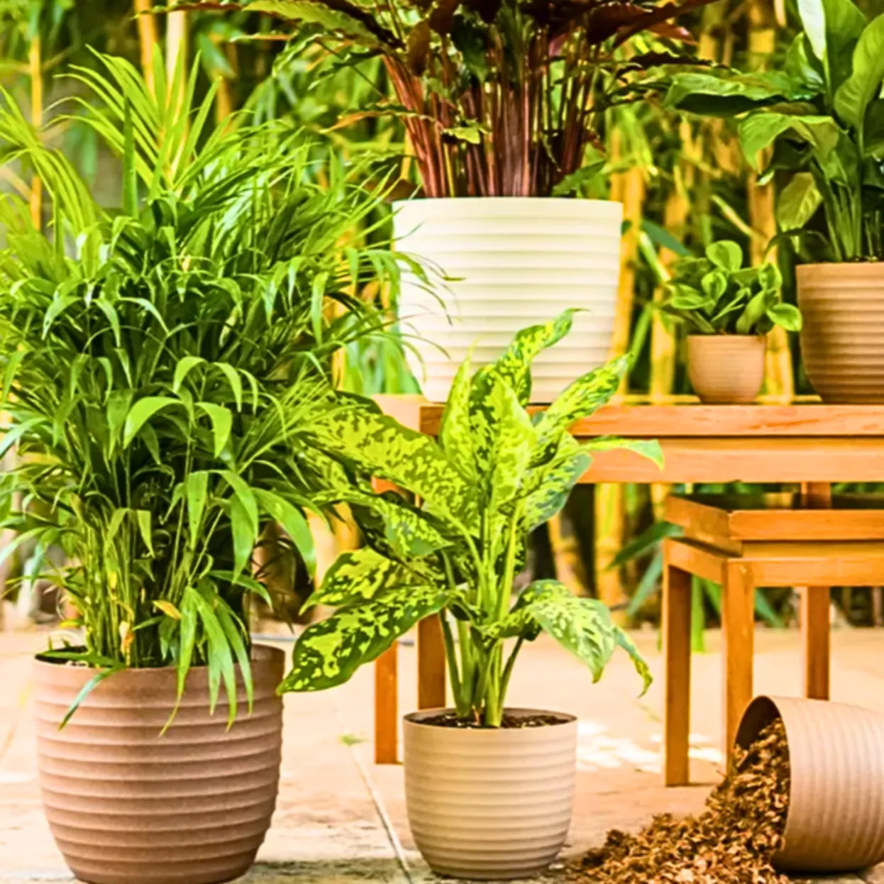 Buy Harshdeep Verona Eco 17 - Planter Online at Lalitenterprise