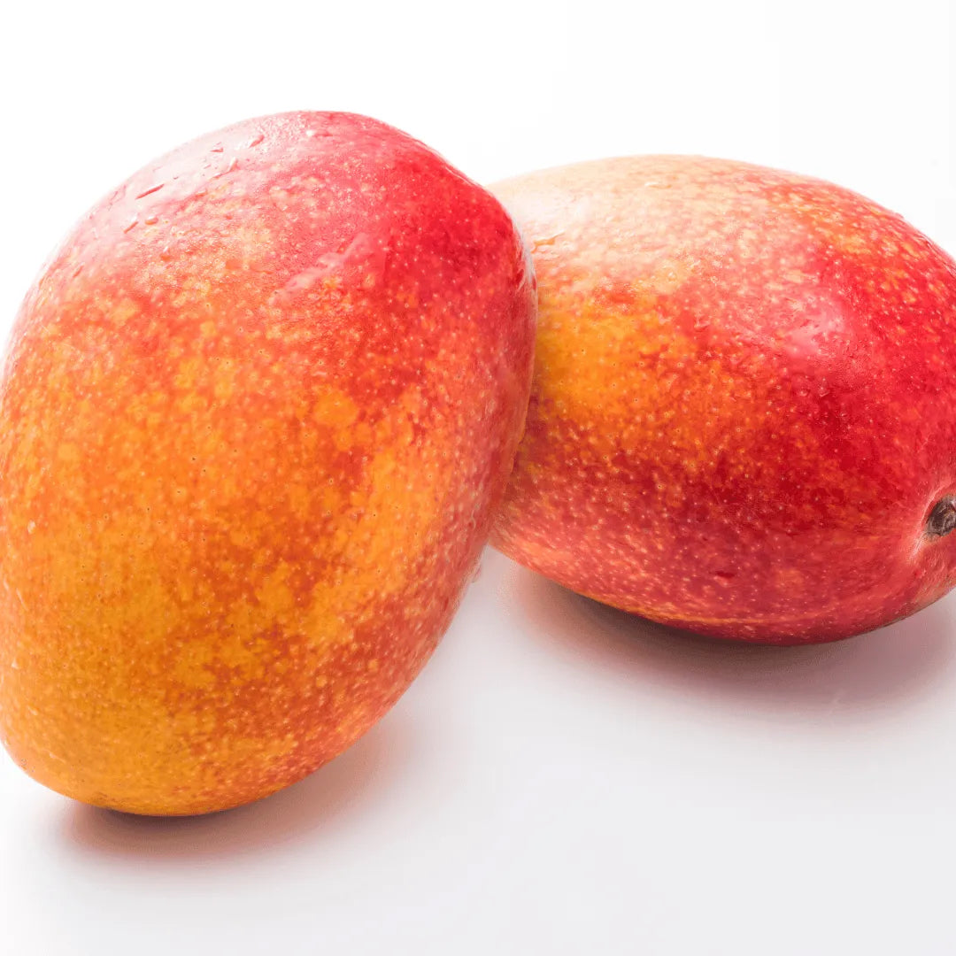 Mangifera indica plant online at Lalitenterprise