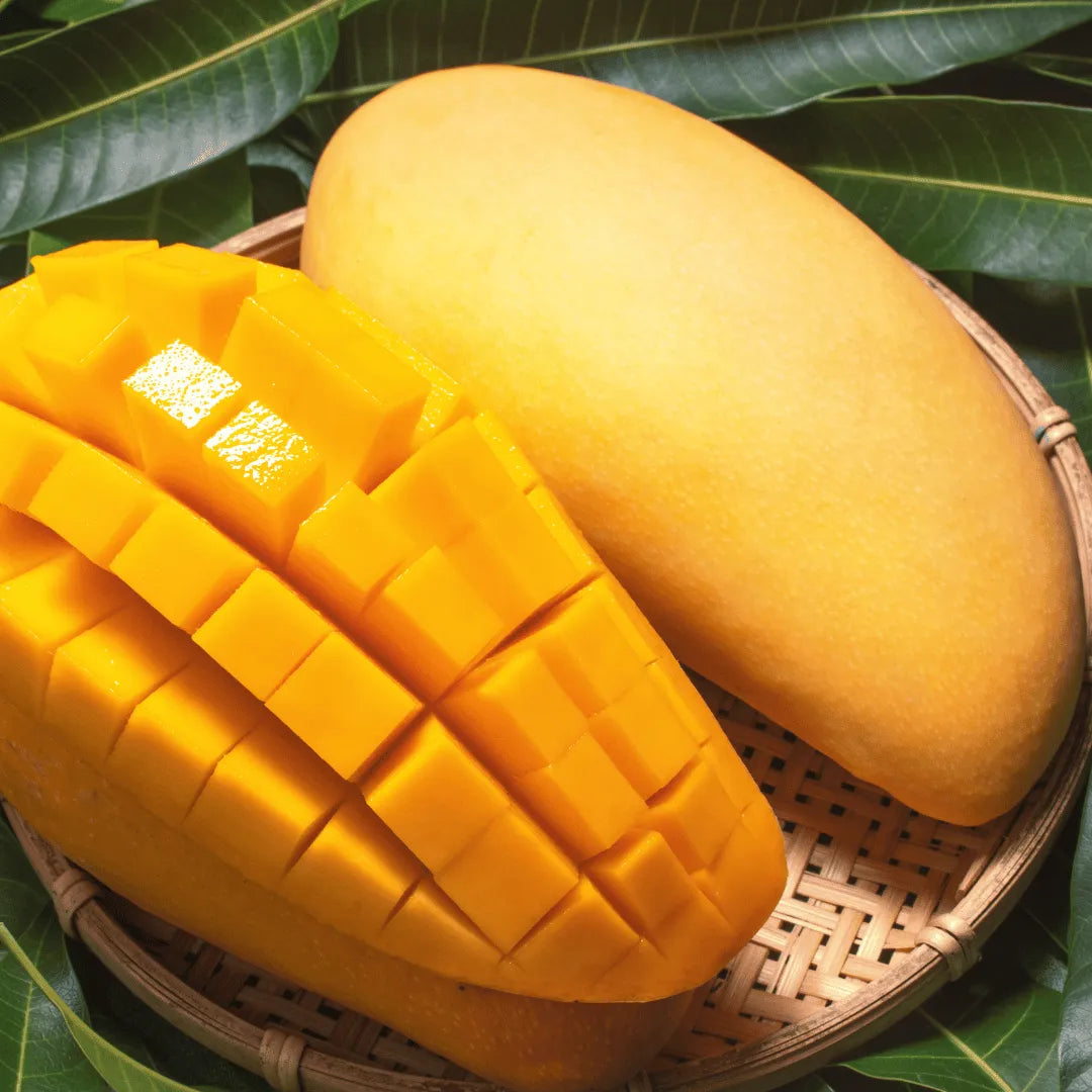 Buy Noorjahan Mango Plant online at Lalitenterprise
