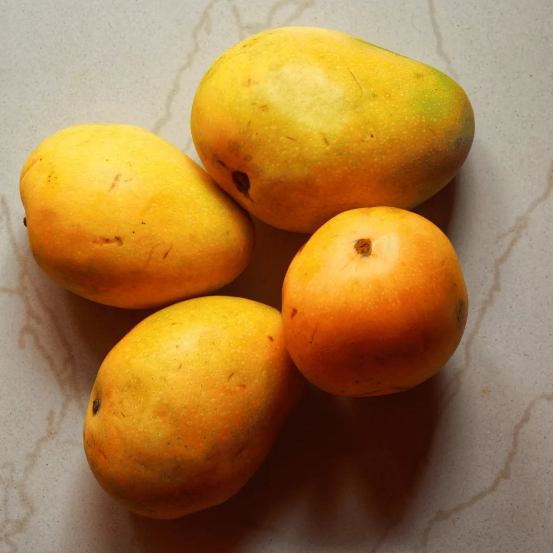 Buy (Mangifera indica "Badami" Plant Online at Lalitenterprise