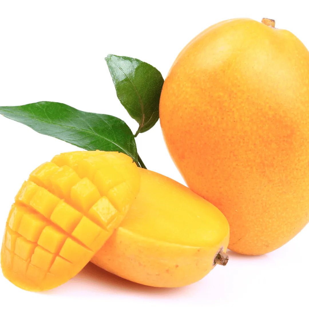 Buy Buy Badam Mango Plant Online at Lalitenterprise