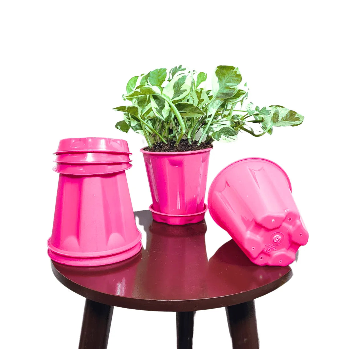 pink plastic plant pot Plastic Pot with base plate (Pack of 4) – Lalit Enterprise