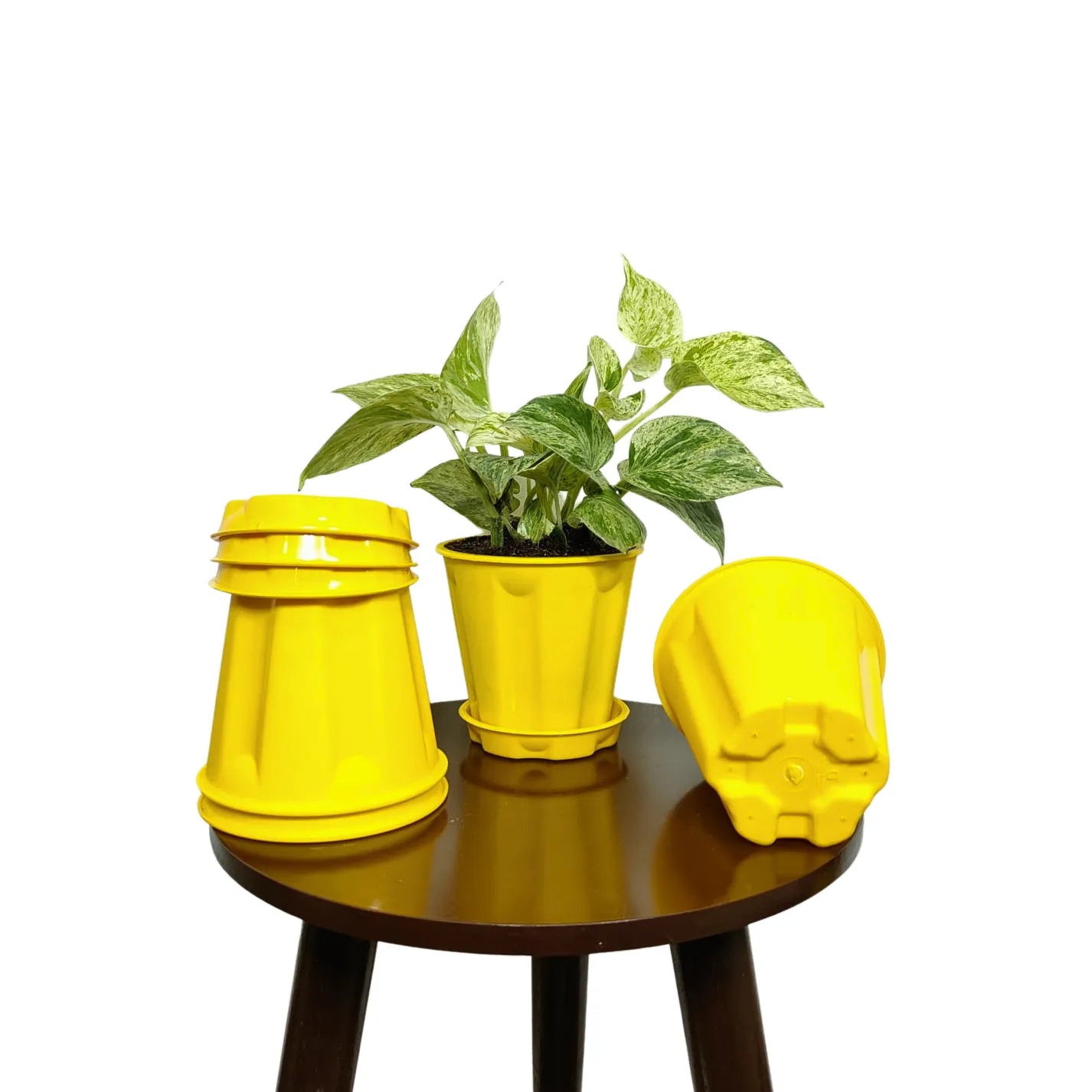 Buy Plastic Pot with base plate (Pack of 4) On line at Lalitenterprise