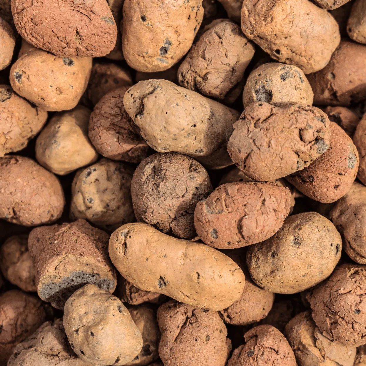 Buy Lightweight Expanded Clay Aggregate (LECA Balls)-500G Online at  Lalitenterprise
