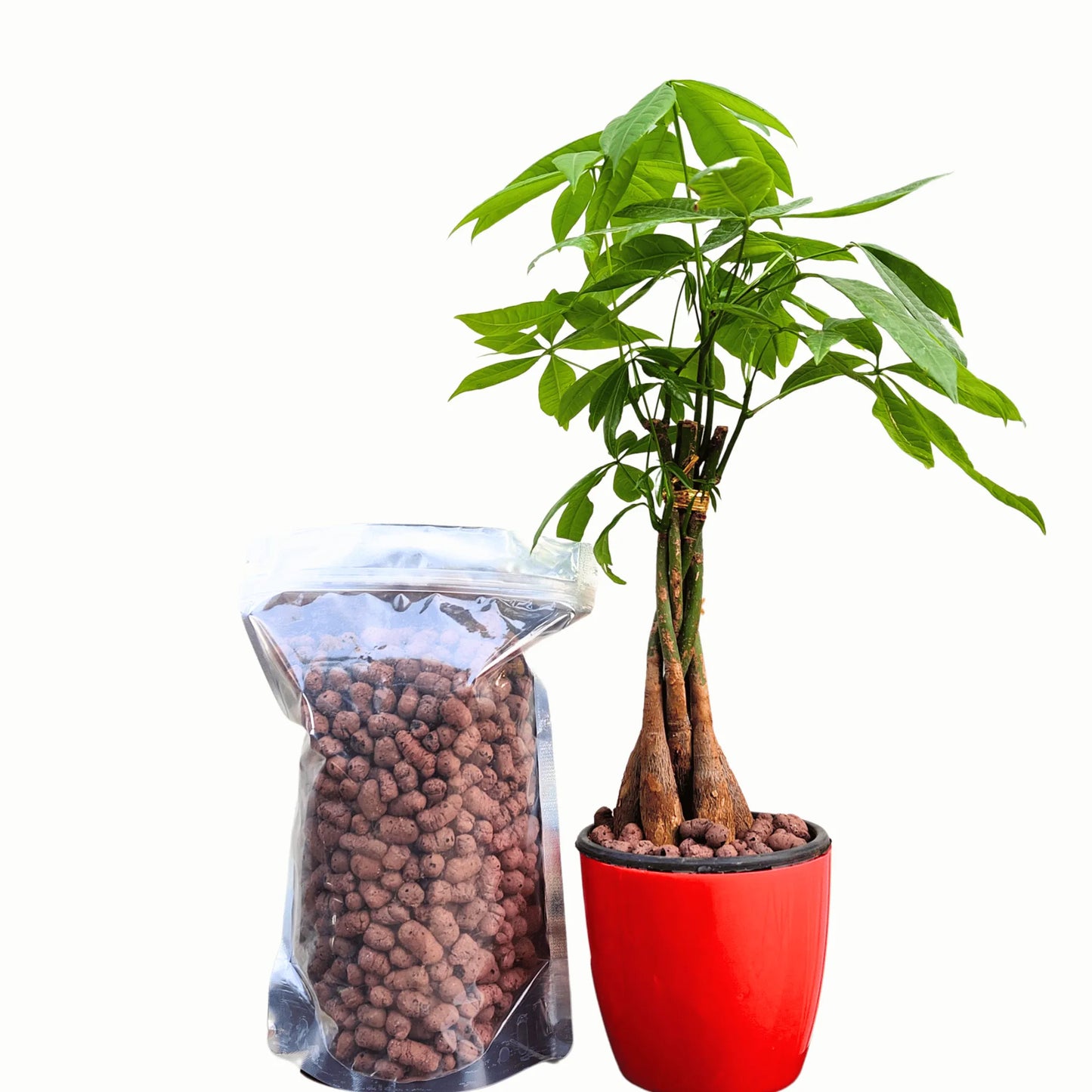 Buy Lightweight Expanded Clay Aggregate (LECA Balls)-500G Online at Lalitenterprise