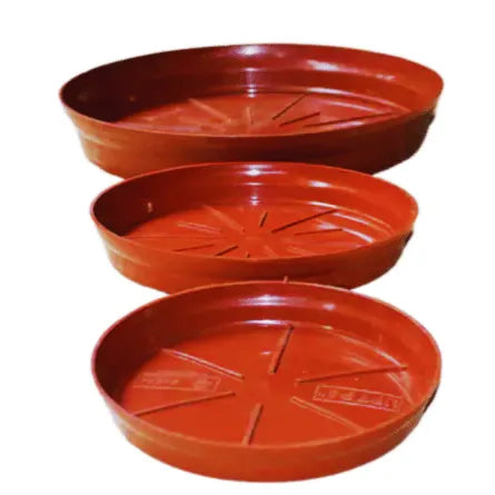 Buy YUCCABE ITALIA Shera Plastic Base plate Online at Lalitenterprise