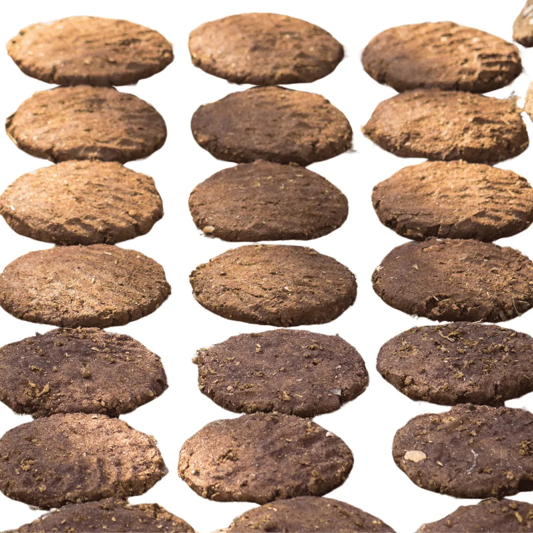 Buy Organic Cow Dung Cake Online at Lalitenterprise