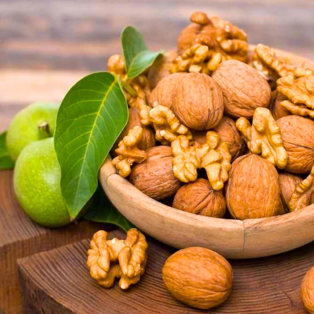 Buy Juglans Regia - Plant Online at Lalitenterprise