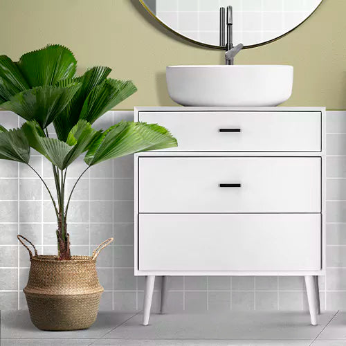 Buy Licuala Grandis Plant - Lalit Enterprise