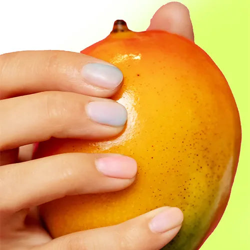 Buy Grafted Mango Plant - Lalit Enterprise