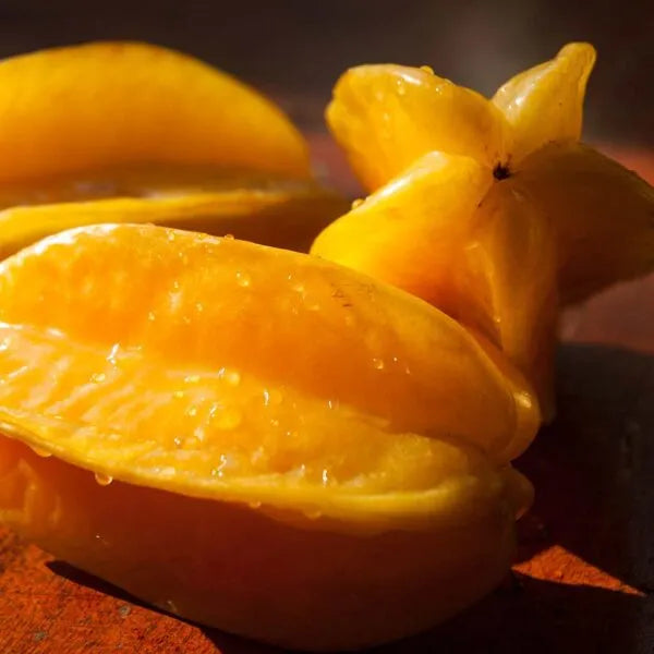 Buy Fruit Plant - Lalit Enterprise
