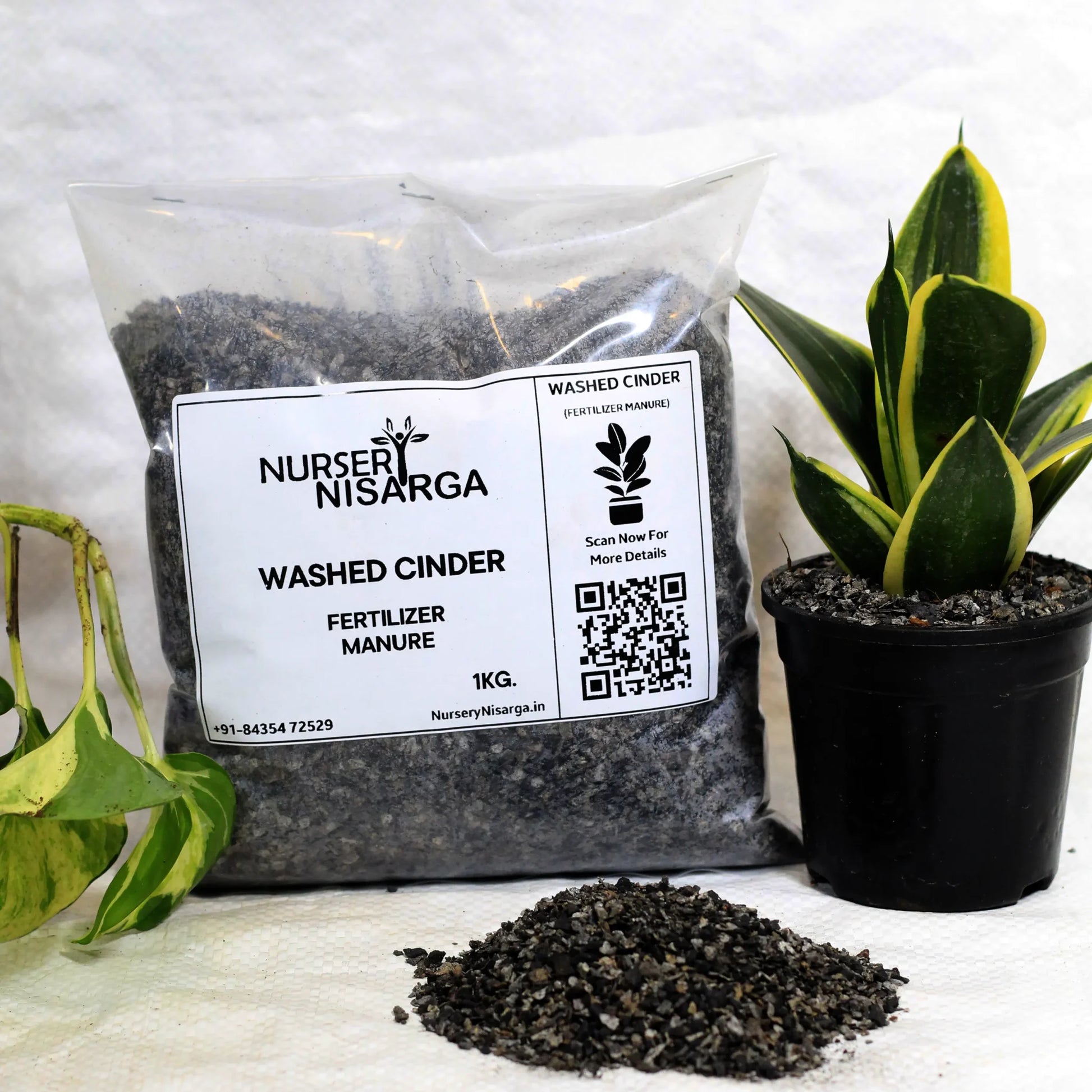 cinder for succulents Washed Cinder for Succulent, Roses, Adenium, Bonsai – Plant