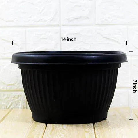 Buy Round Shape Bonsai Plastic Pot Online at Lalitenterprise
