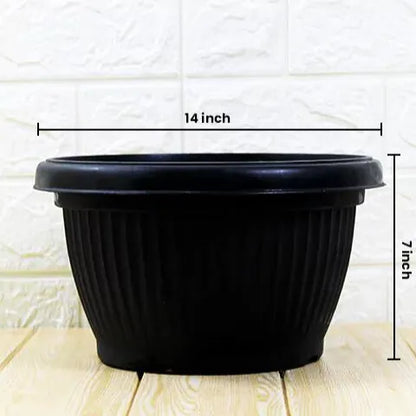 Buy Round Shape Bonsai Plastic Pot Online at Lalitenterprise