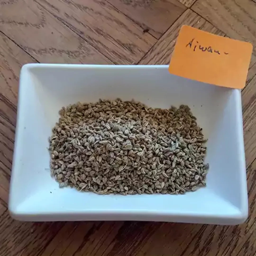Buy Ajwain - Plant Online at Lalitenterprise
