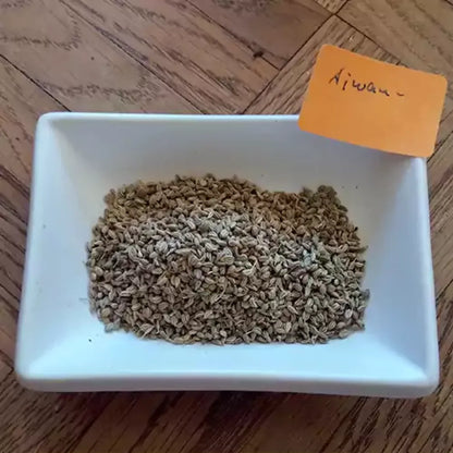 Buy Ajwain - Plant Online at Lalitenterprise