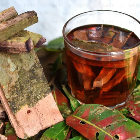 Buy Terminalia Arjuna - Plant Online at Lalitenterprise