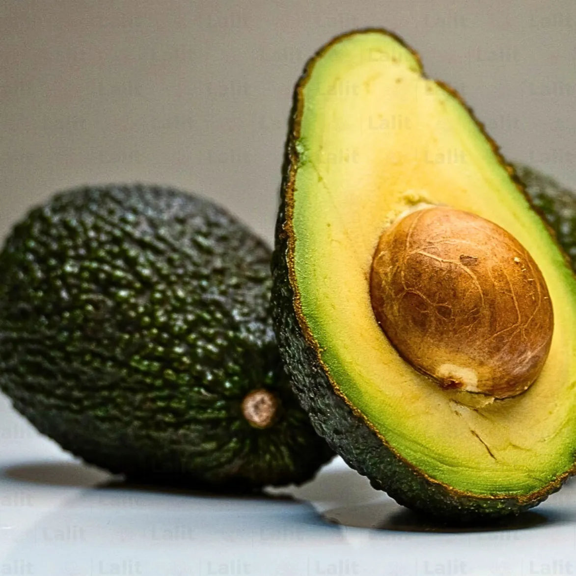 Buy Avocado - Plant Online at Lalitenterprise