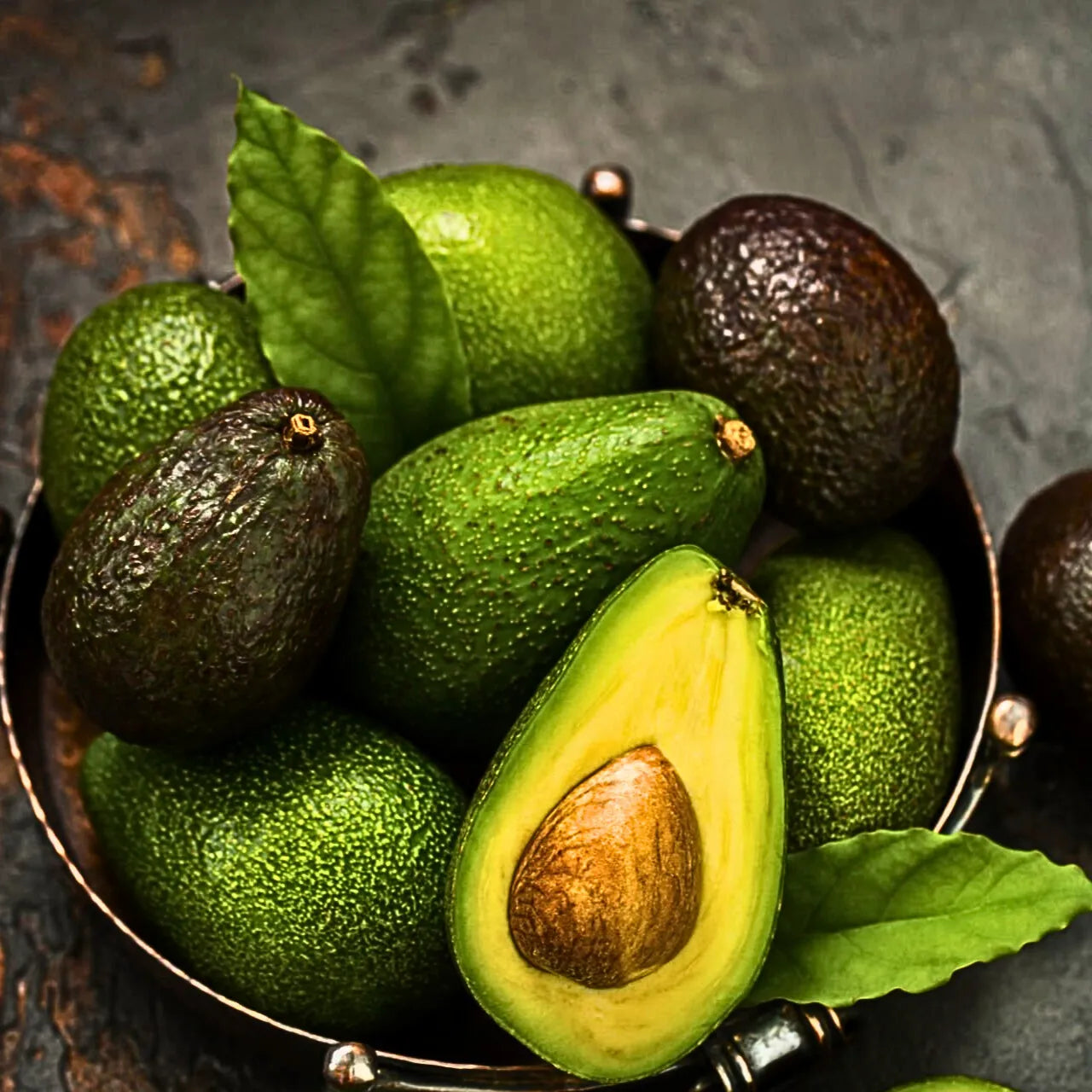 Buy Avocado  - Plant Online at Lalitenterprise