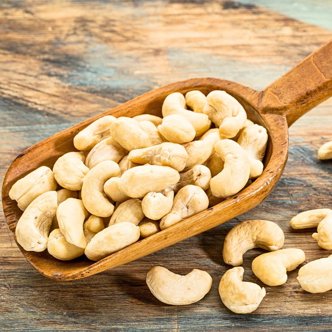 Buy Cashew - Plant Online at Lalitenterprise