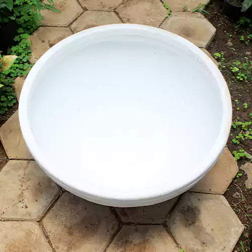 Buy Decora Pots (Premium quality) “Bloom” , “Code – TCB Online at Lalitenterprise