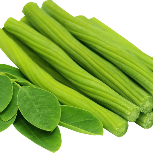 Buy Drumstick (Moringa Oleifera), Sehjan Plant online at  Lalitenterprise