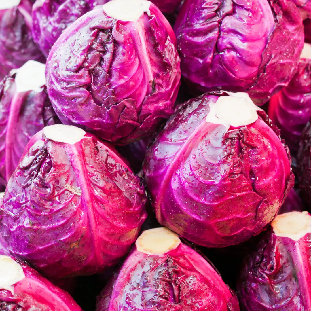 Buy Exotic Red Cabbage Seeds Combo Online at Lalitenterprise